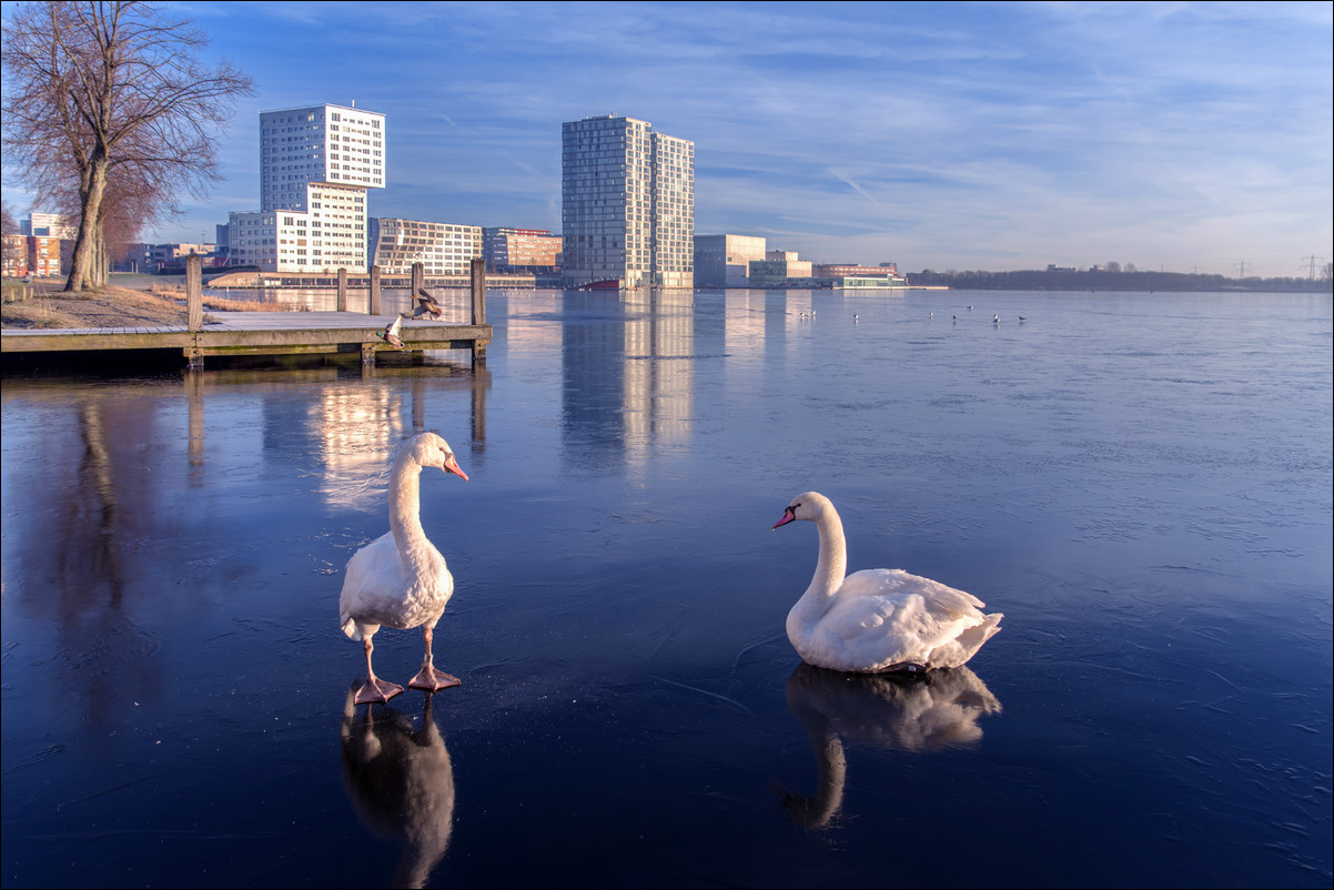 Skyline Almere