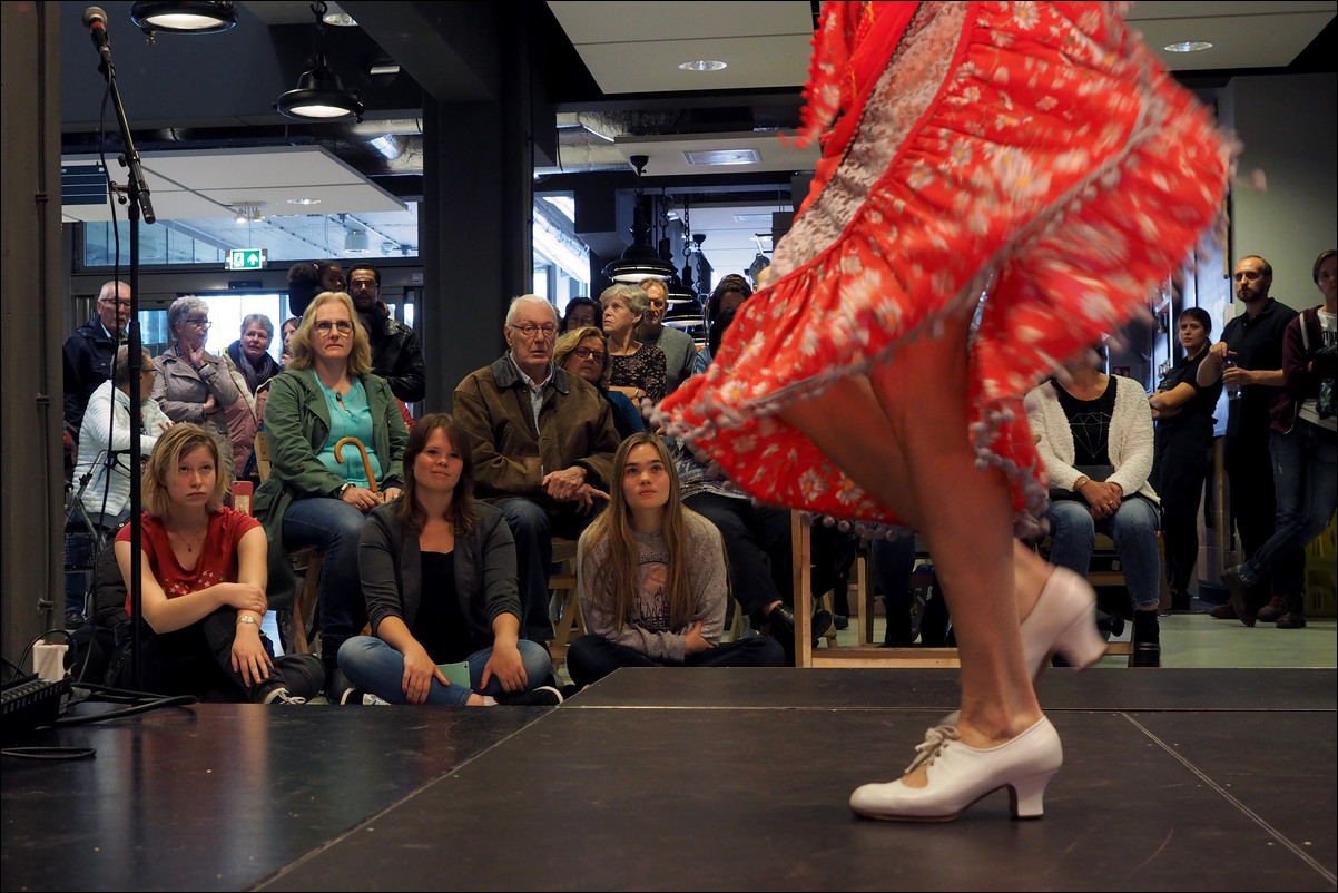 Corrosia Danst met flamenco Binnale Nederland