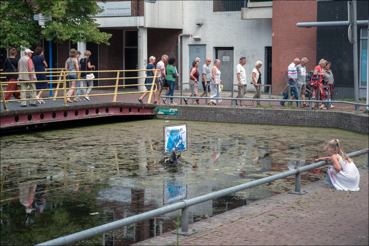 Kunst in de Gracht