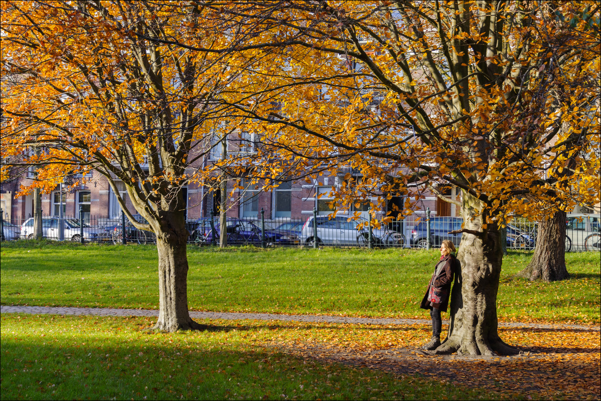 herfst