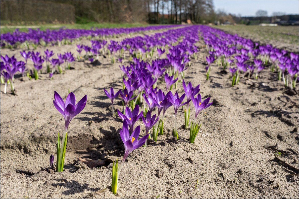 Grenspad BE: Thorn - Weert