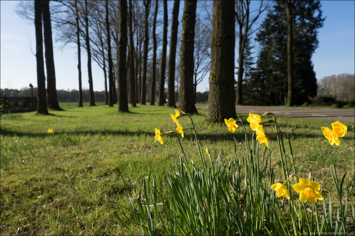 Grenspad BE: Thorn - Weert