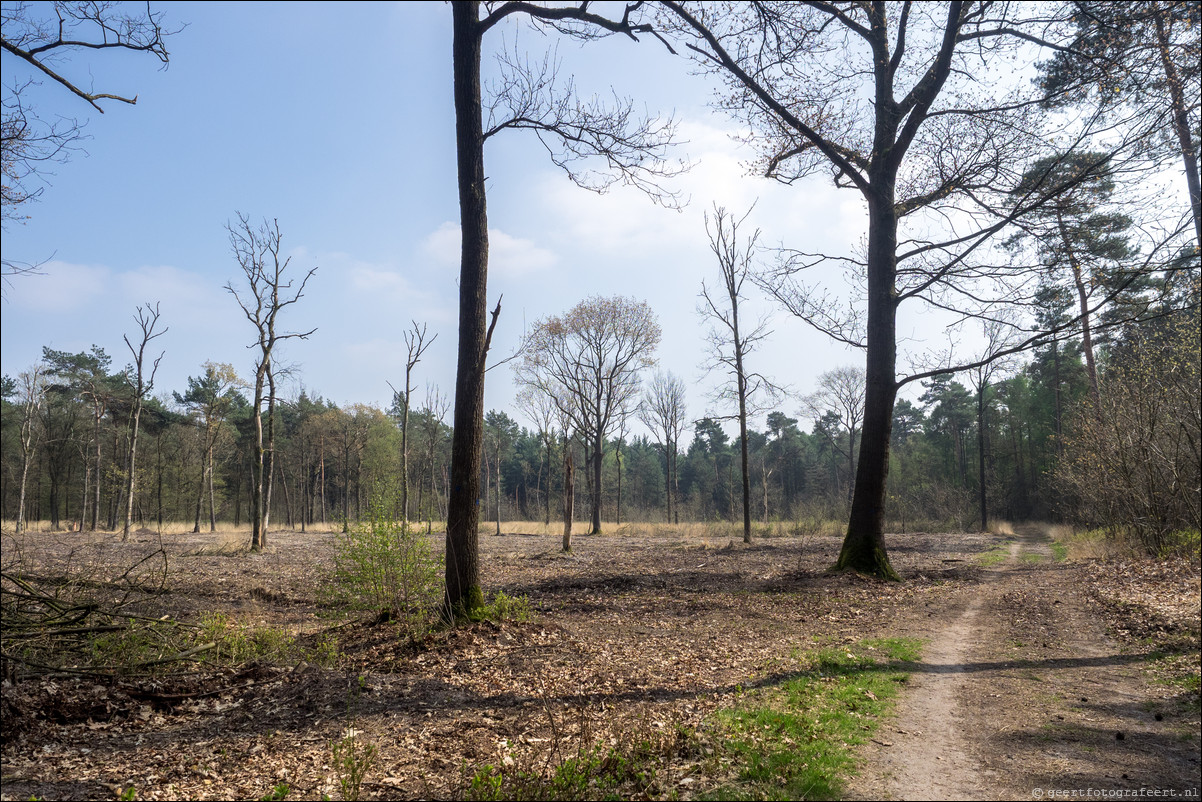 Grenspad BE: Weert - Schaft