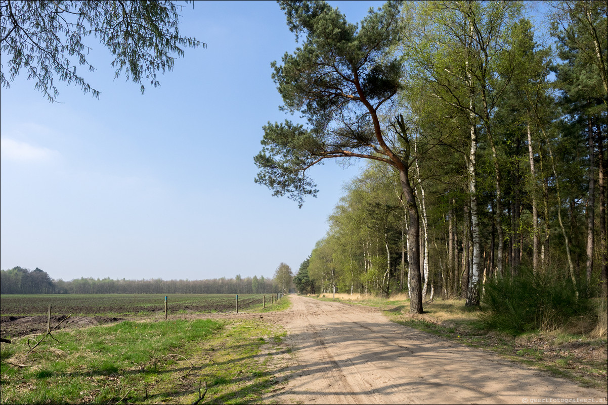 Grenspad BE: Weert - Schaft