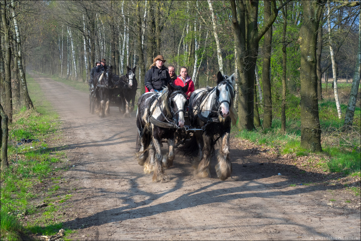 Grenspad BE: Weert - Schaft