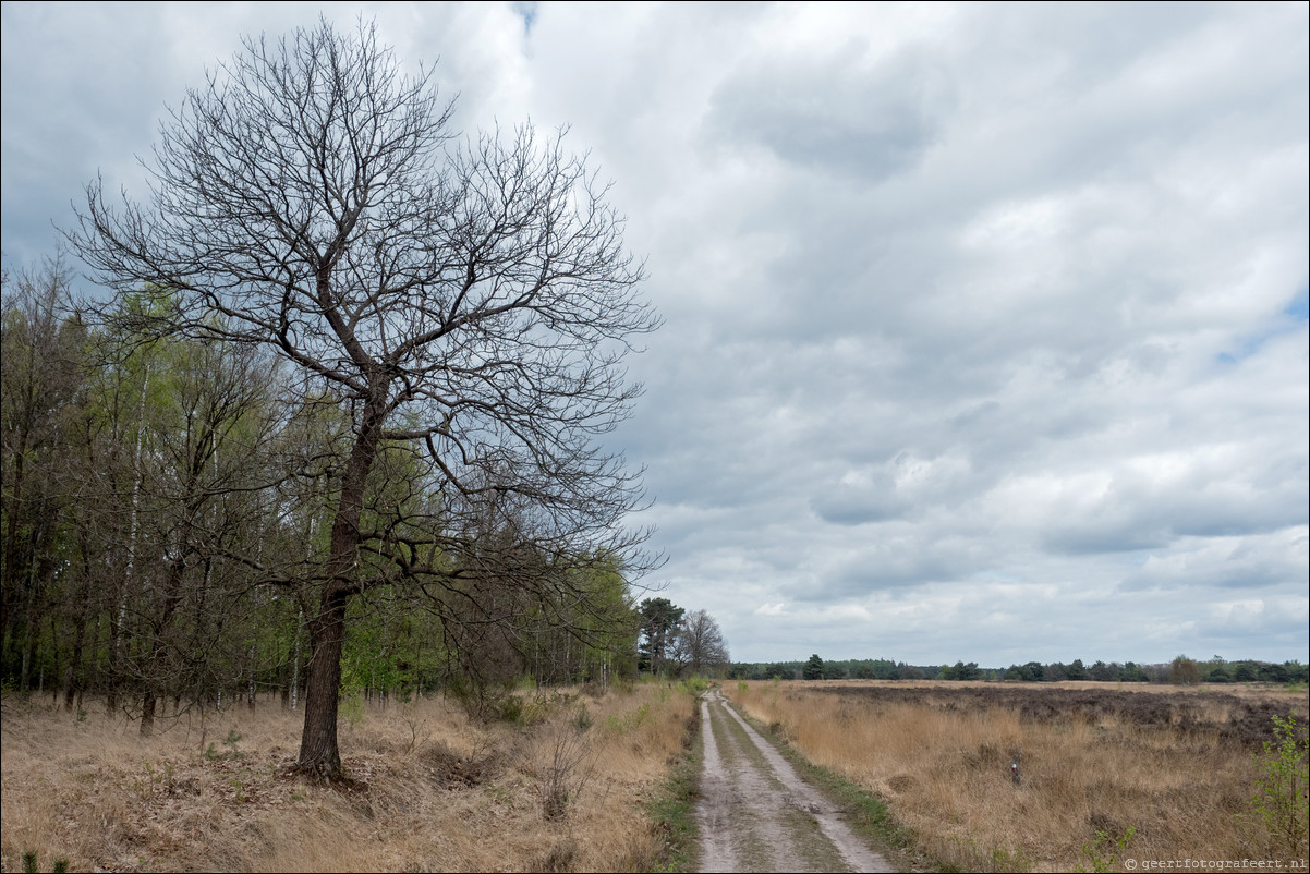 Grenspad BE: Schaft - Eersel