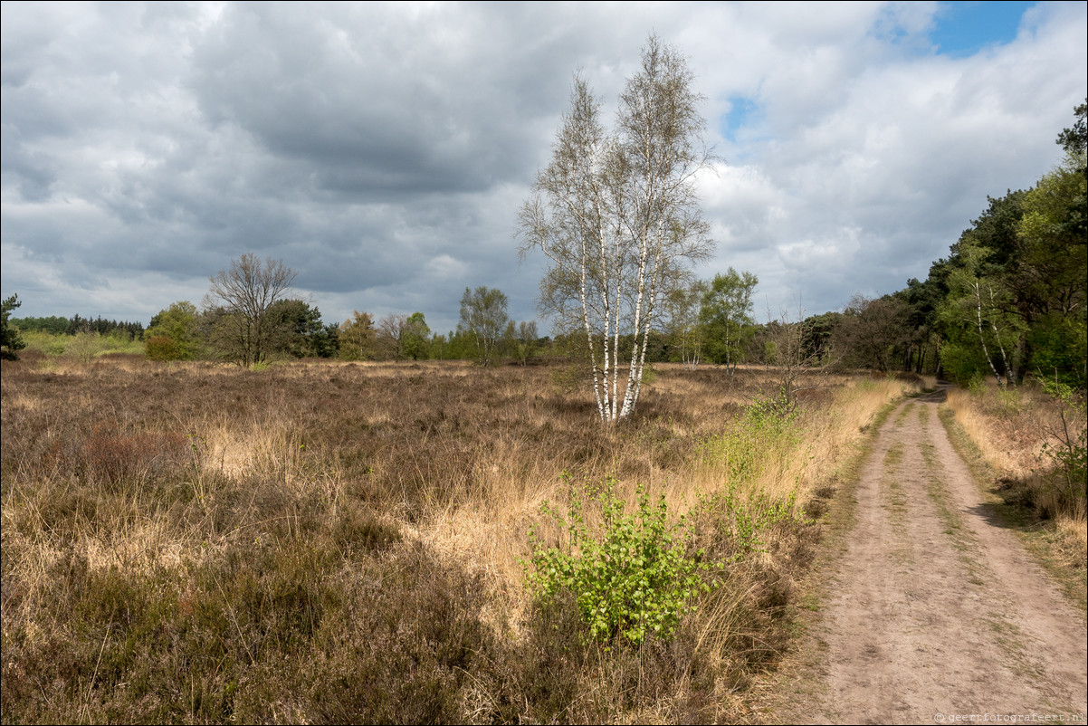 Grenspad BE: Schaft - Eersel