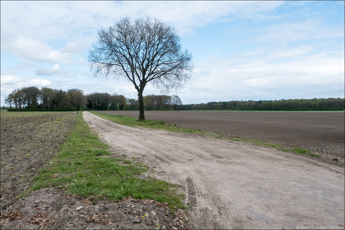 Grenspad BE: Schaft - Eersel