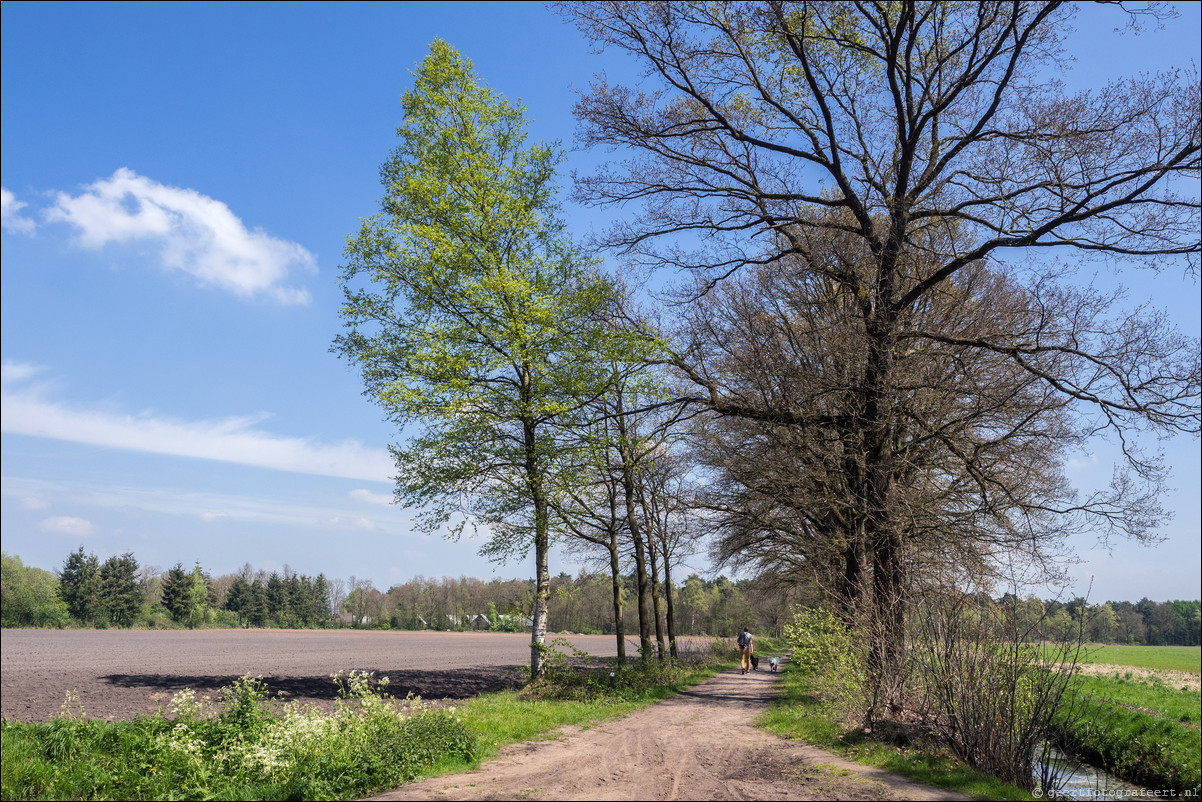 Grenspad BE: Eersel - Reusel