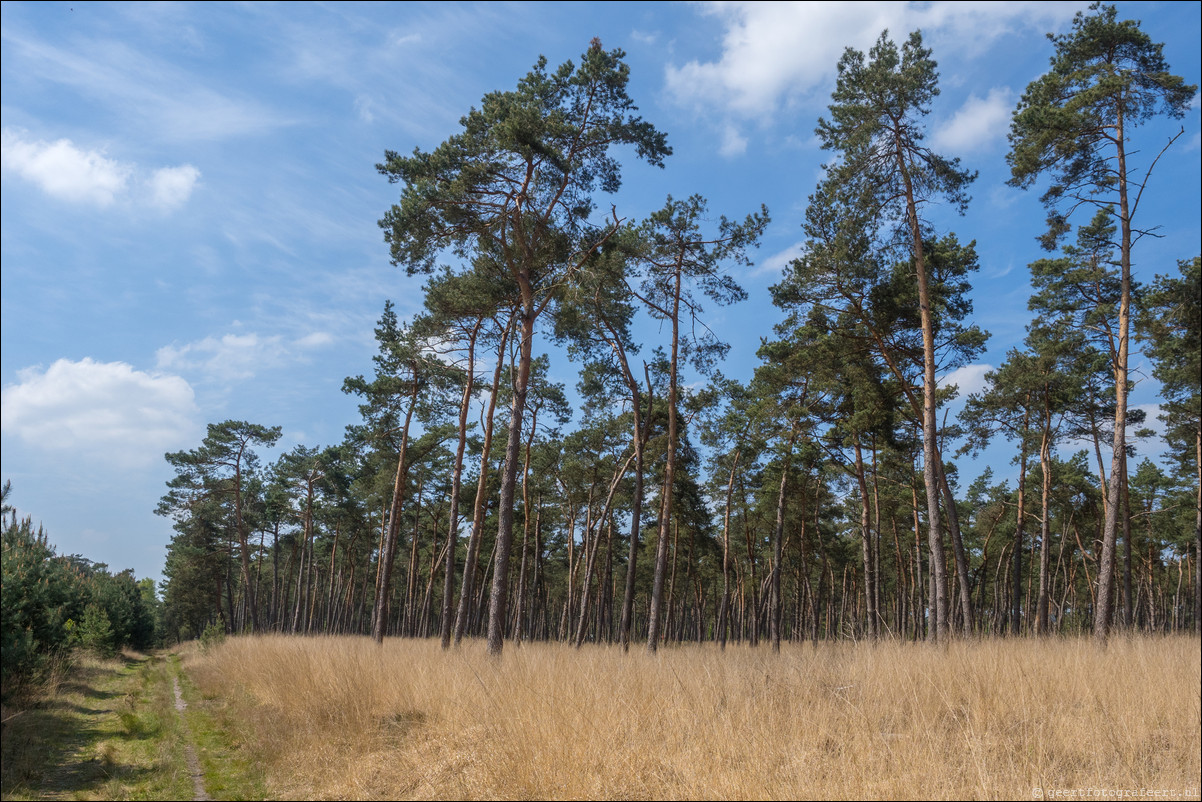 Grenspad BE: Eersel - Reusel