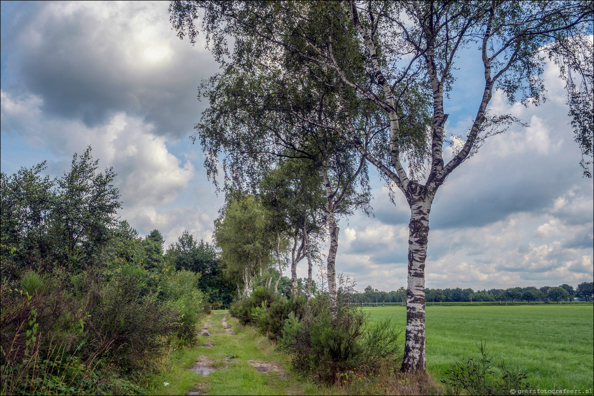 Grenspad BE: Reusel - Esbeek