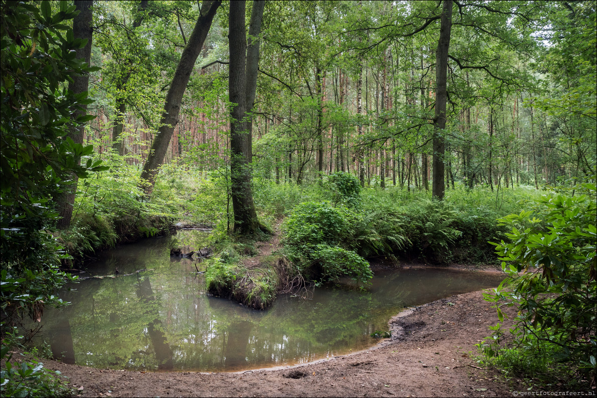 Grenspad BE: Esbeek - Chaam