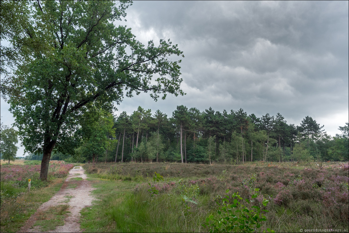 Grenspad BE: Esbeek - Chaam