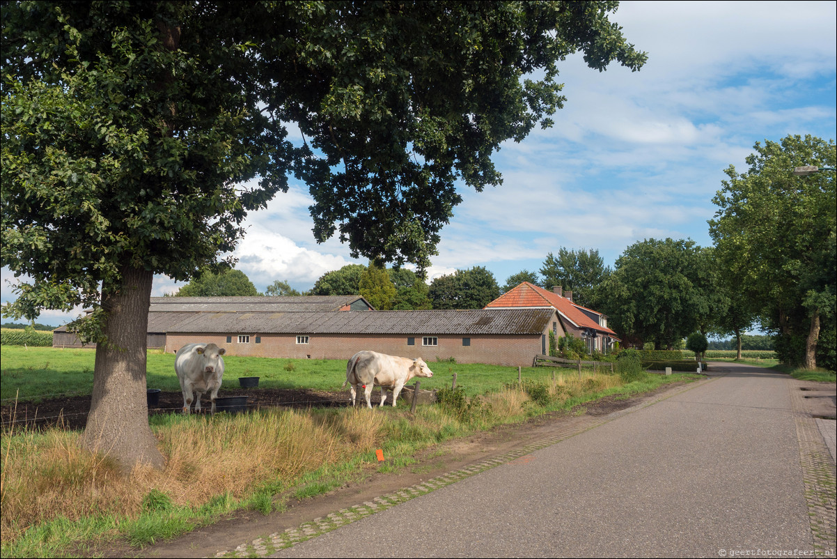 Grenspad BE: Esbeek - Chaam