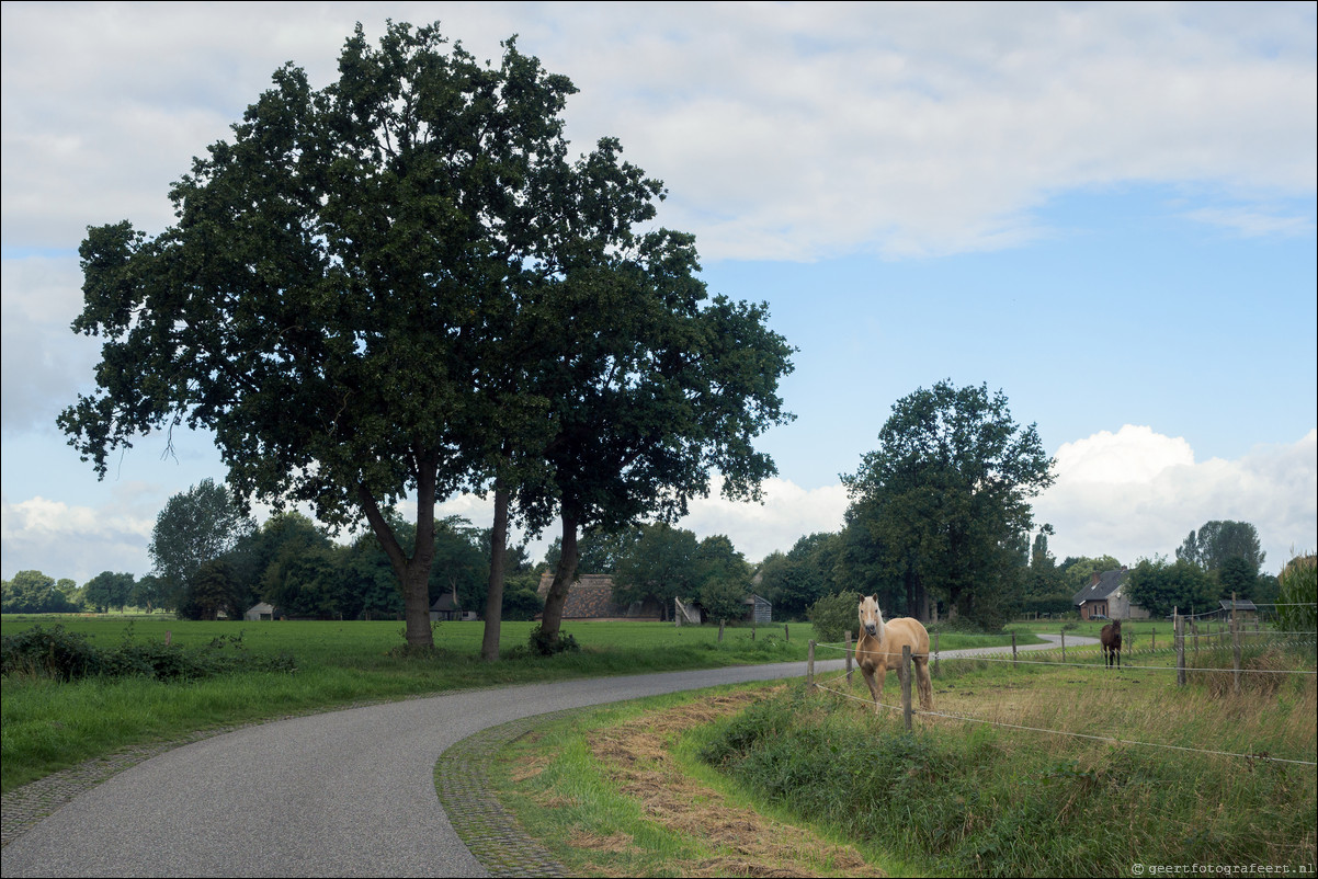 Grenspad BE: Chaam - Zundert