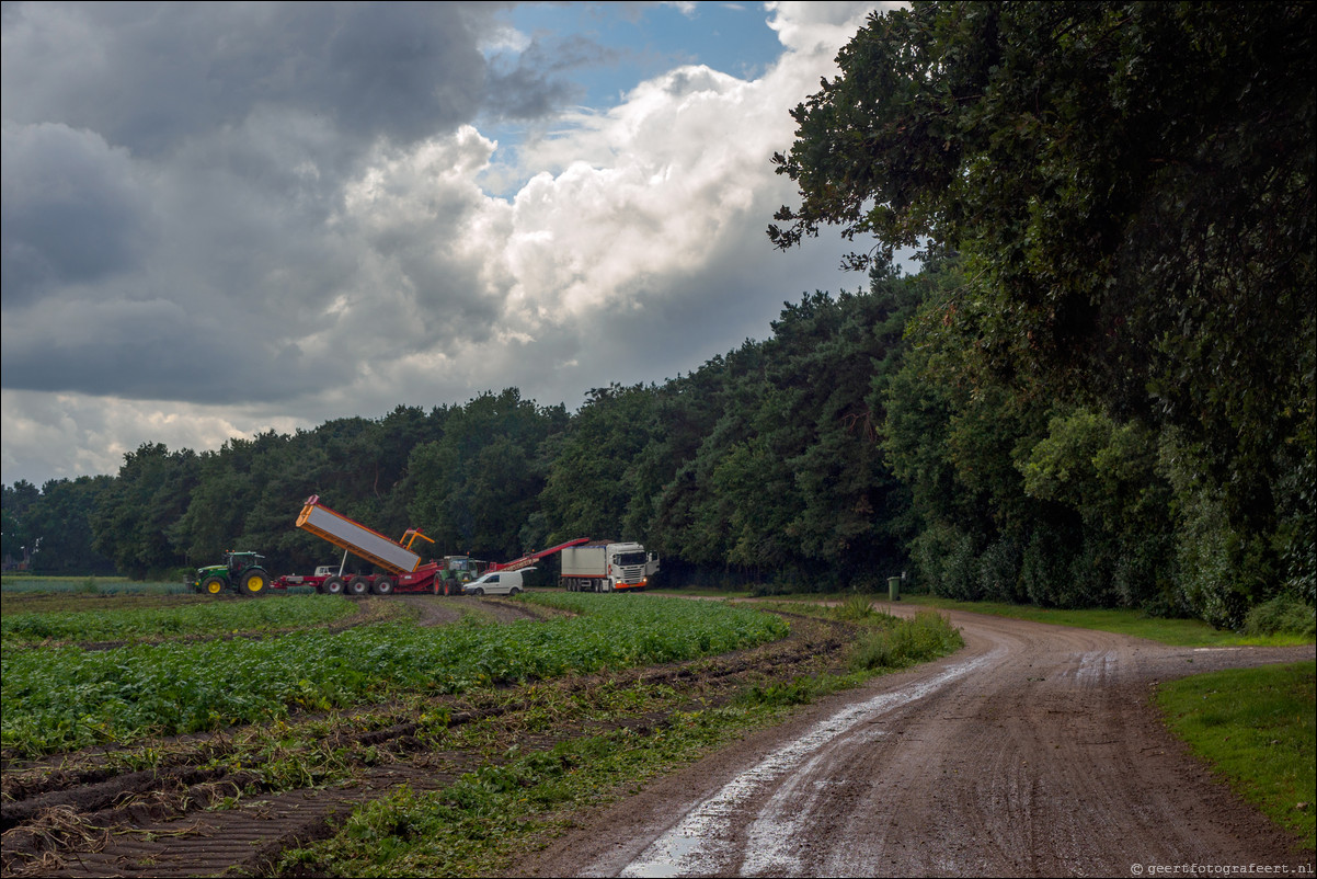 Grenspad BE: Chaam - Zundert