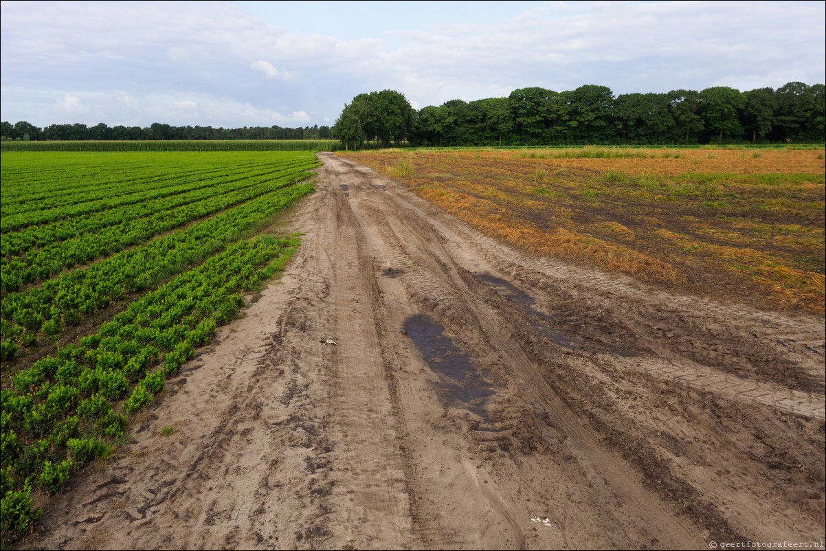 Grenspad BE:  Zundert - Essen - Putte