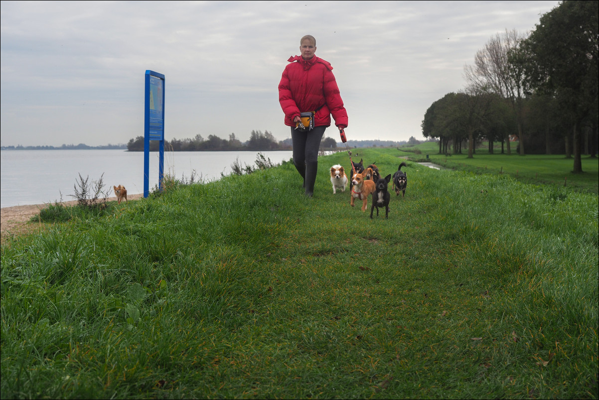 Zuiderzeepad Medemblik Enkhuizen