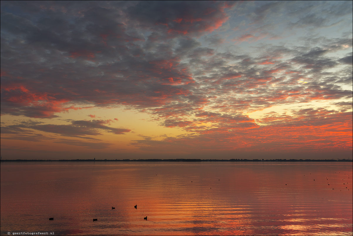 Gooimeer