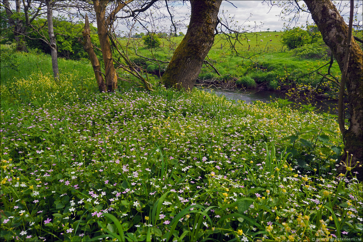 wandeling langs de Muur van Antoninus Schotland Bearsden - Kirkintilloch