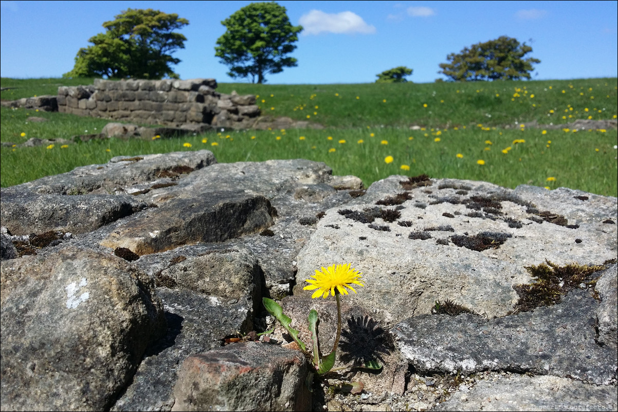 wandeling langs de Muur van Antoninus Schotland Kirkintilloch - Castleary Hotel