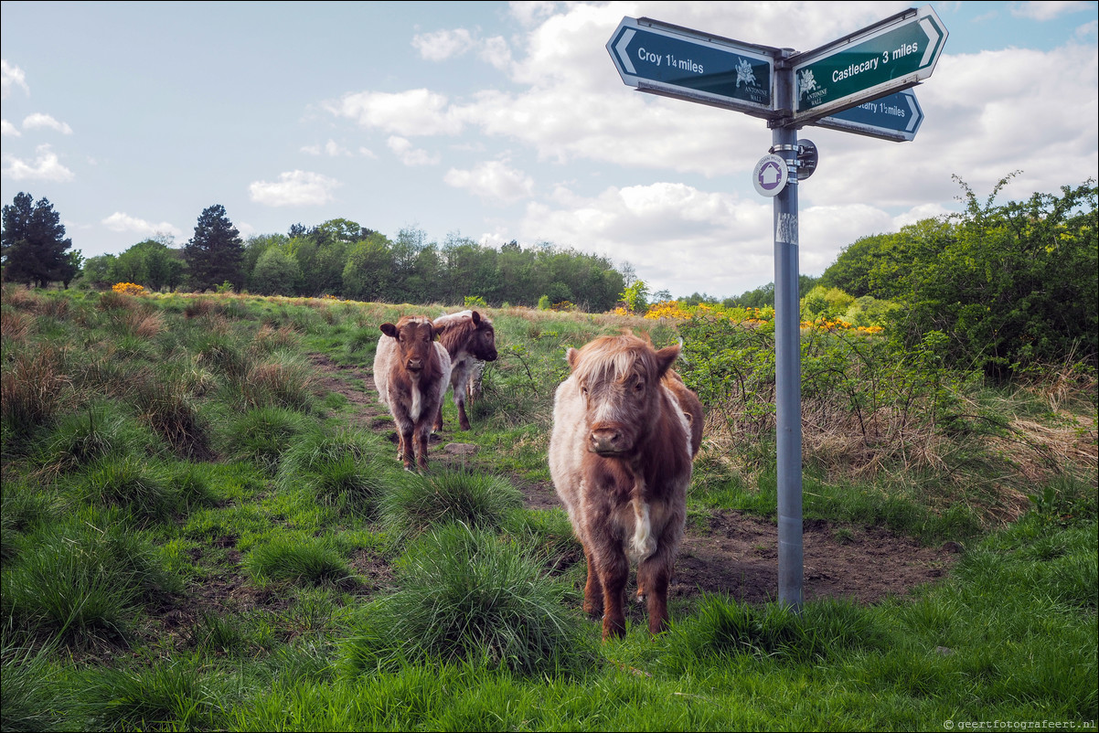 wandeling langs de Muur van Antoninus Schotland Kirkintilloch - Castleary Hotel