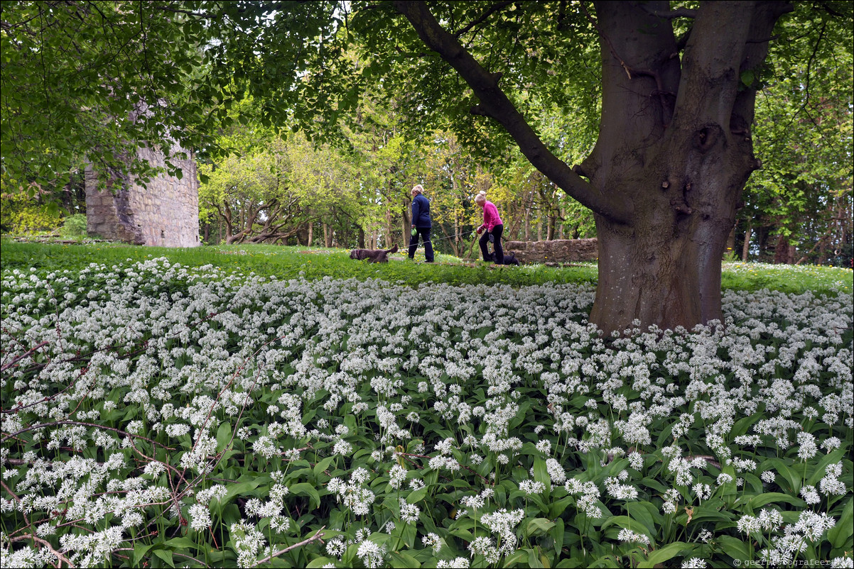 wandeling langs de Muur van Antoninus Schotland Mumrills - Bo'ness