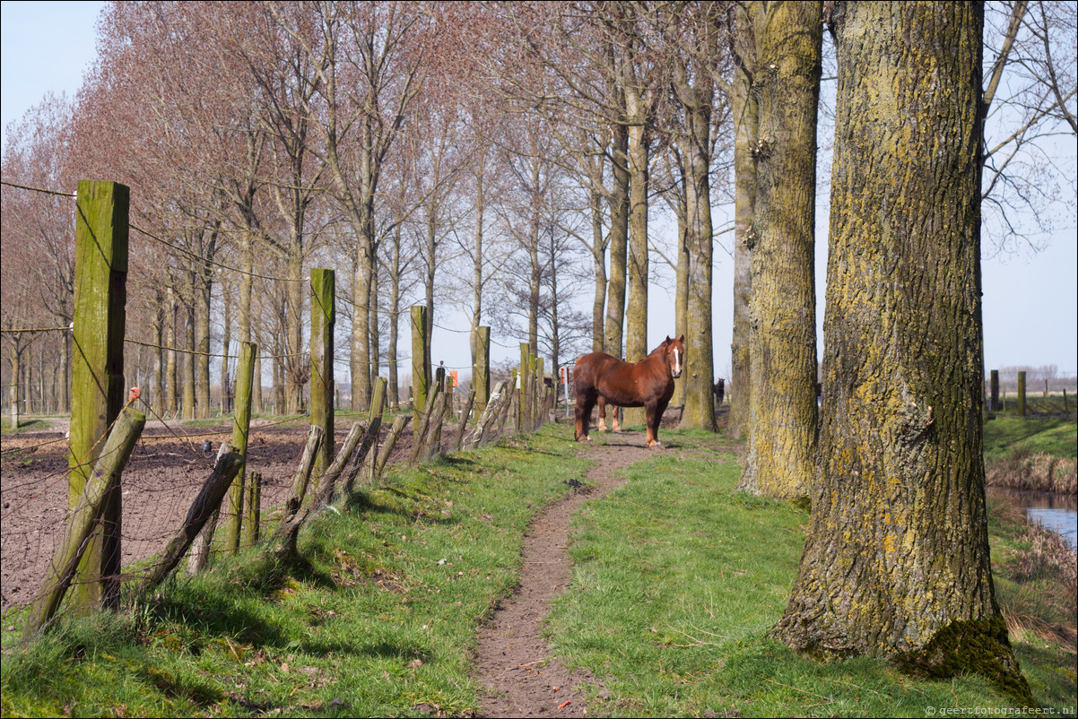 Rondom NL - Grenspad BE: Waterland-Oudeman - Sluis - Cadzand-Bad