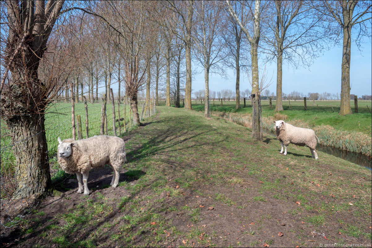 Rondom NL - Grenspad BE: Waterland-Oudeman - Sluis - Cadzand-Bad