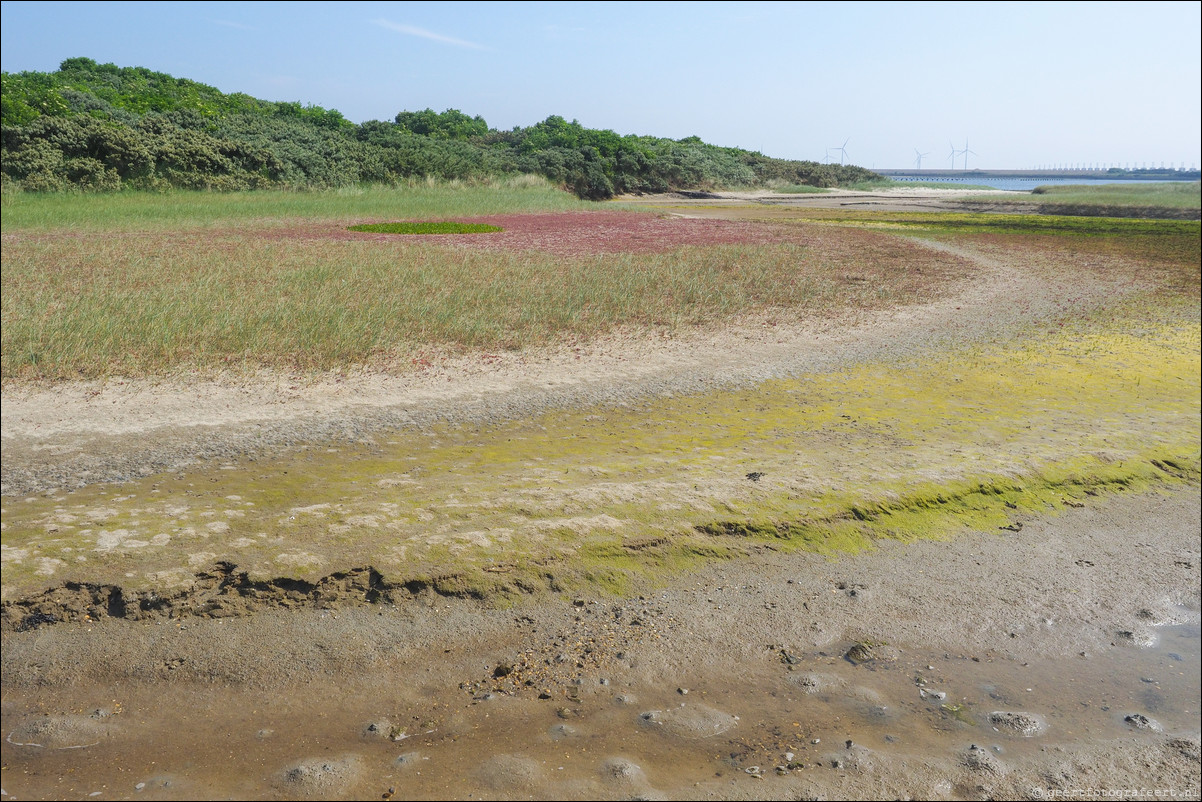 Rondom NL - Noordzeepad: Domburg - Neeltje Jans