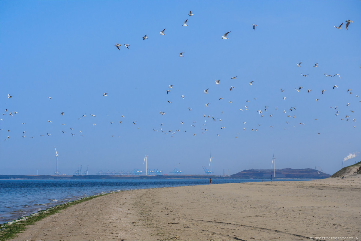 Rondom NL - Noordzeepad: Rockanje - Hoek van Holland