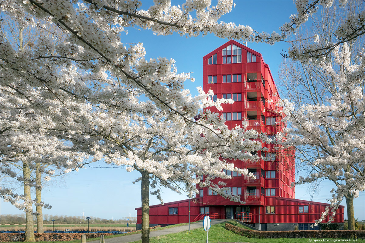 Kersenbloesemfeest, Regenboogbuurt, Almere