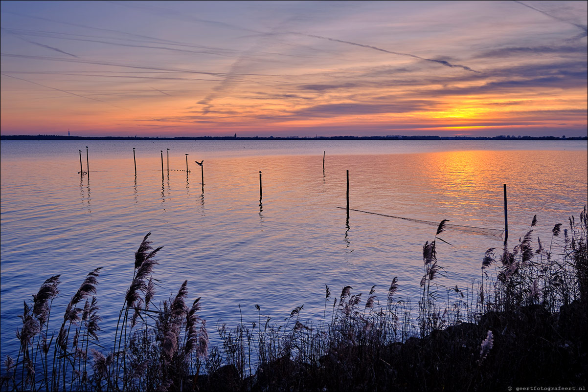 Gooimeer