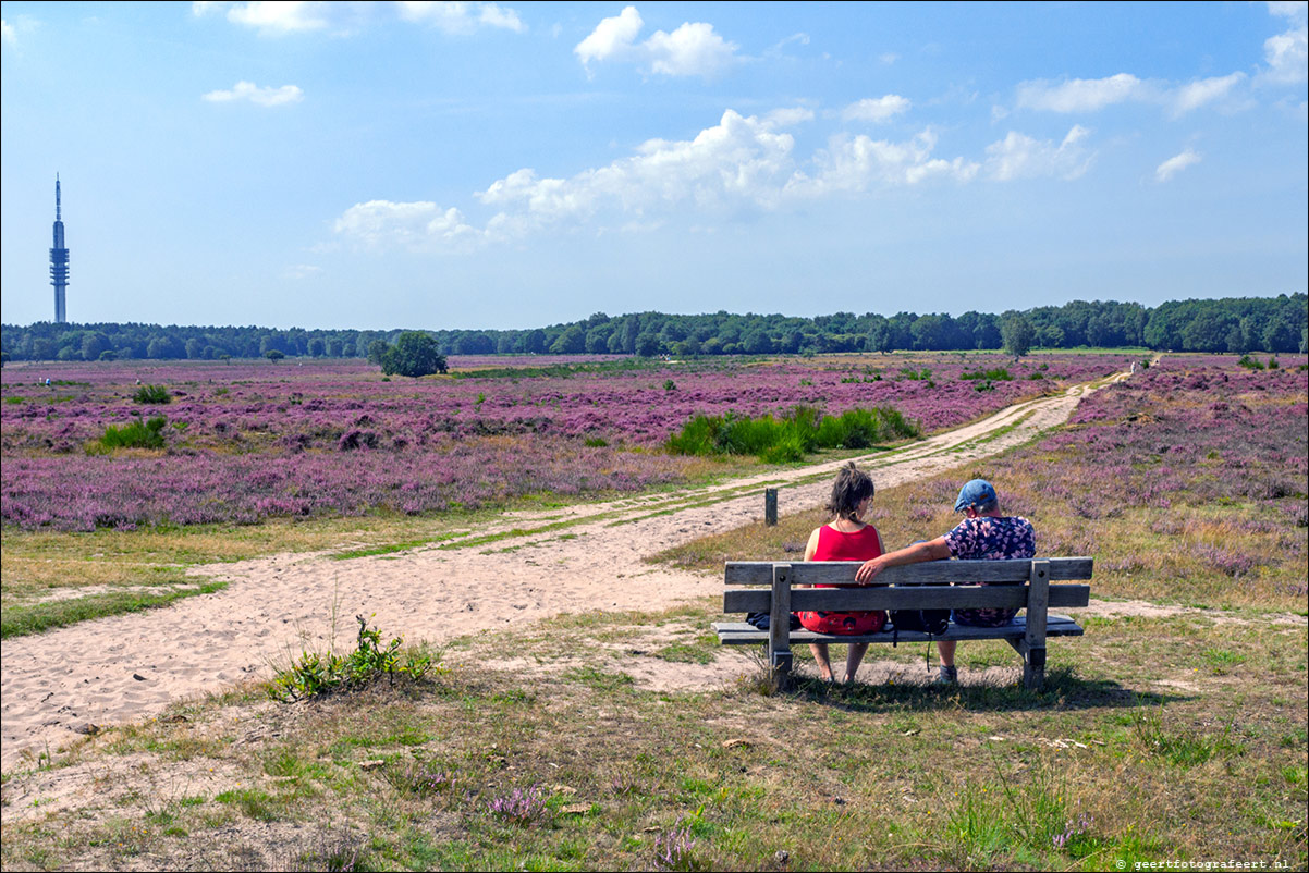 Bussummerheide en Westerheide