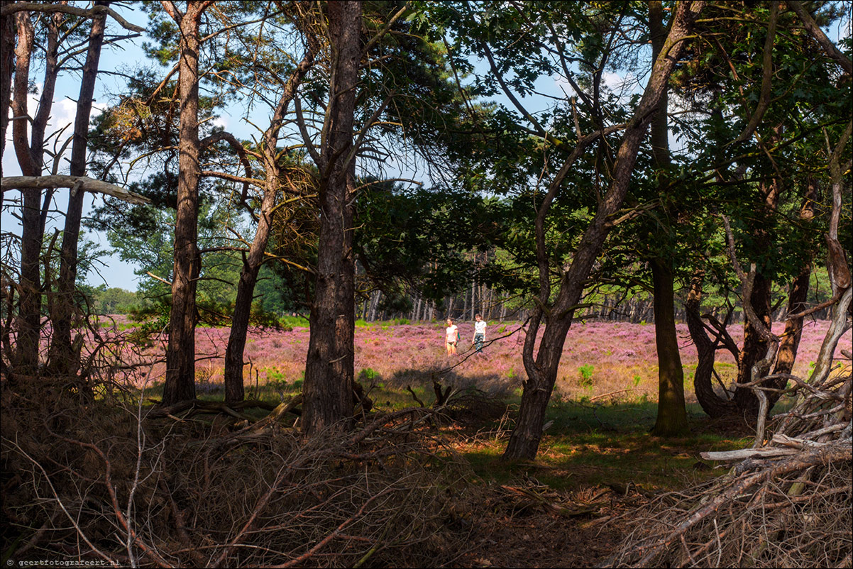 Bussummerheide en Westerheide