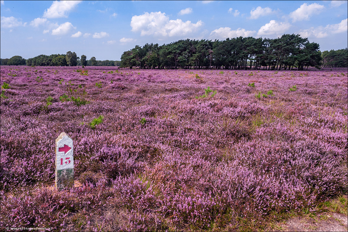 Bussummerheide en Westerheide