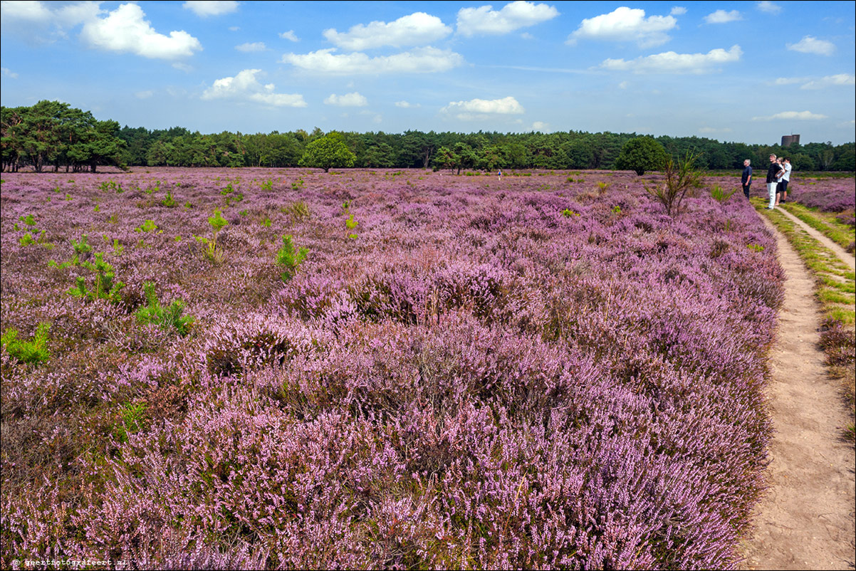 Bussummerheide en Westerheide