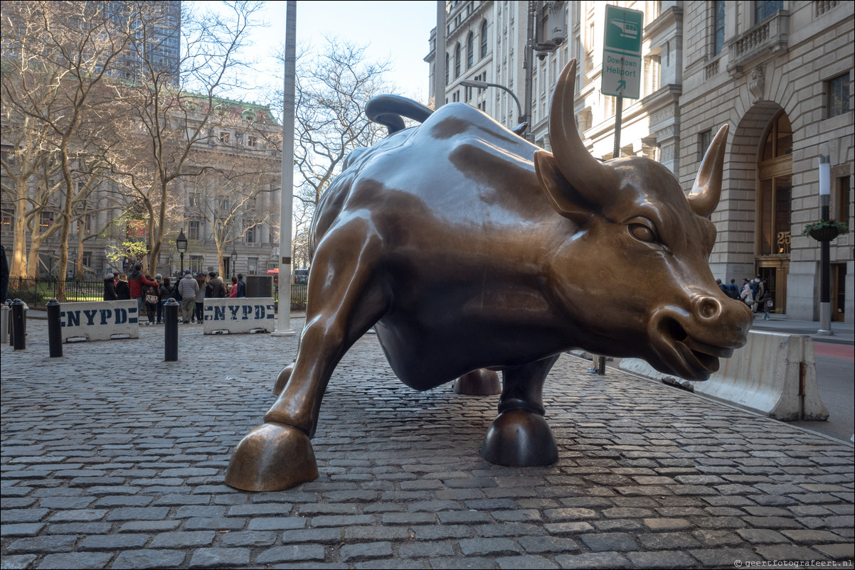 New York Charging Bull