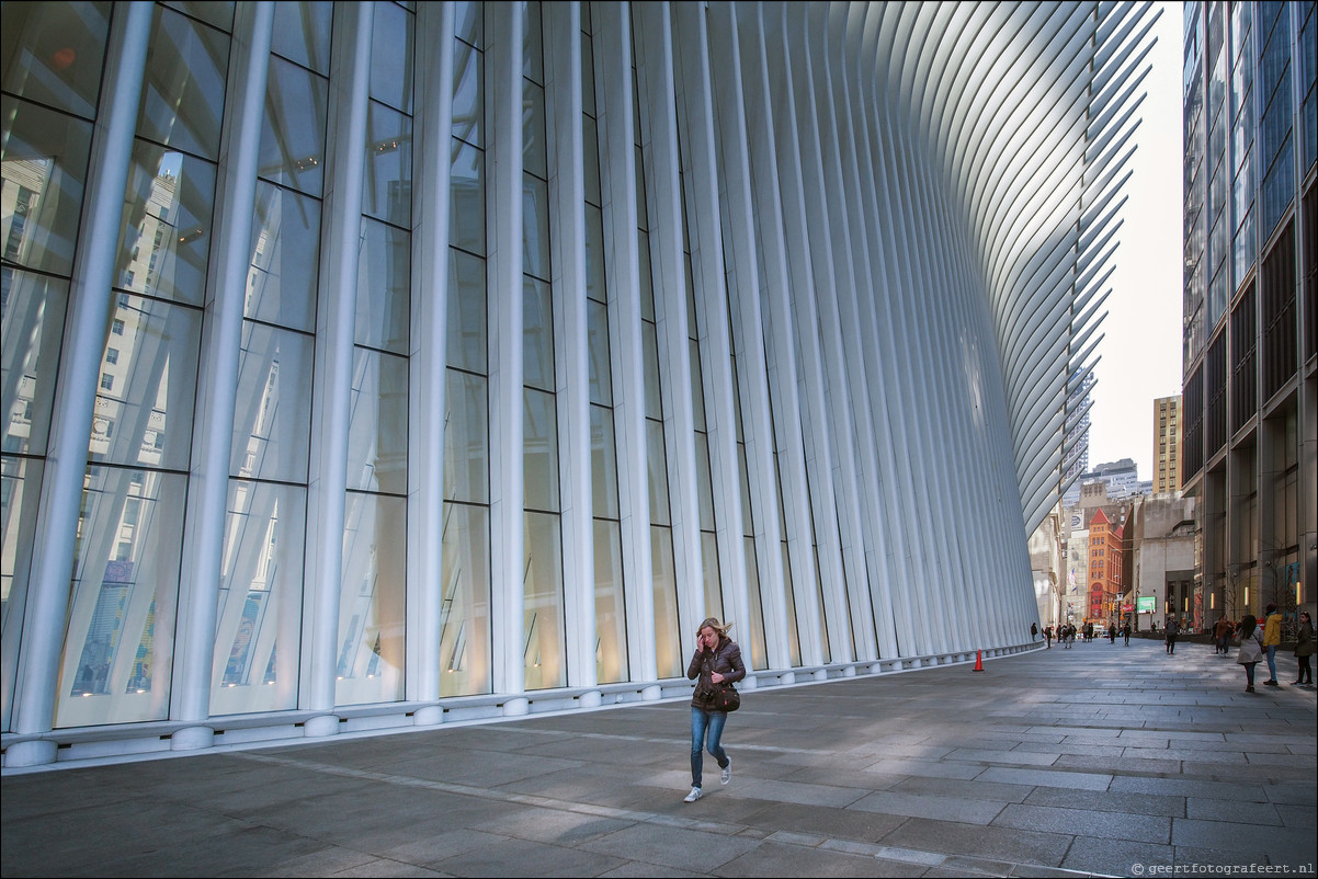 New York WTC Transport Hub, de Oculus