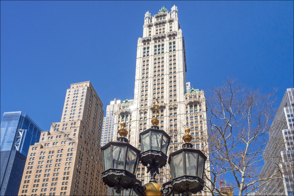 New York Woolworth Building