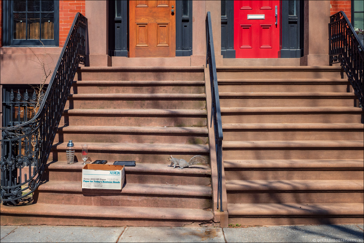 New York Brooklyn Heights