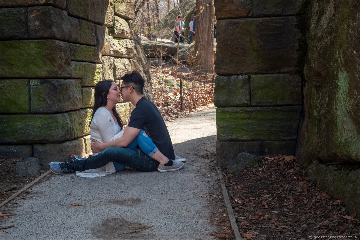 New York Central Park