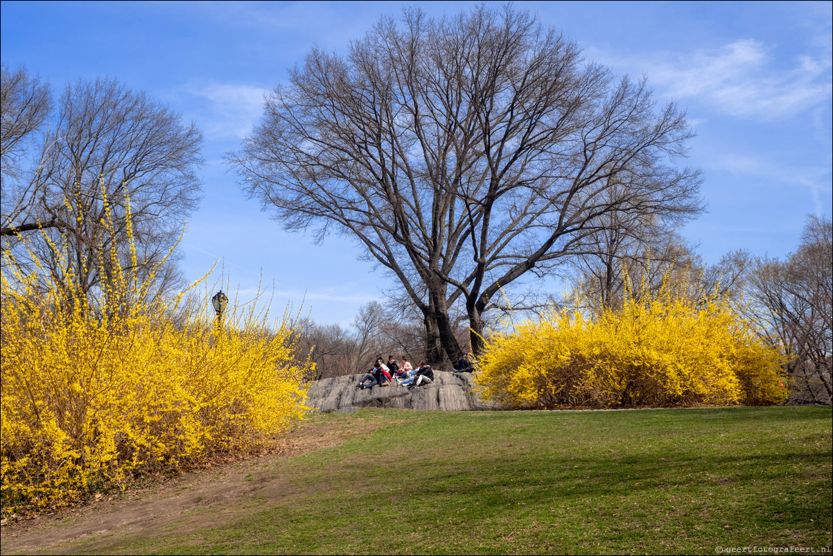 New York Central Park