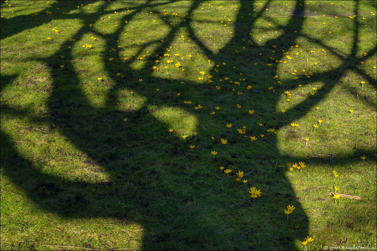 lente vondelpark