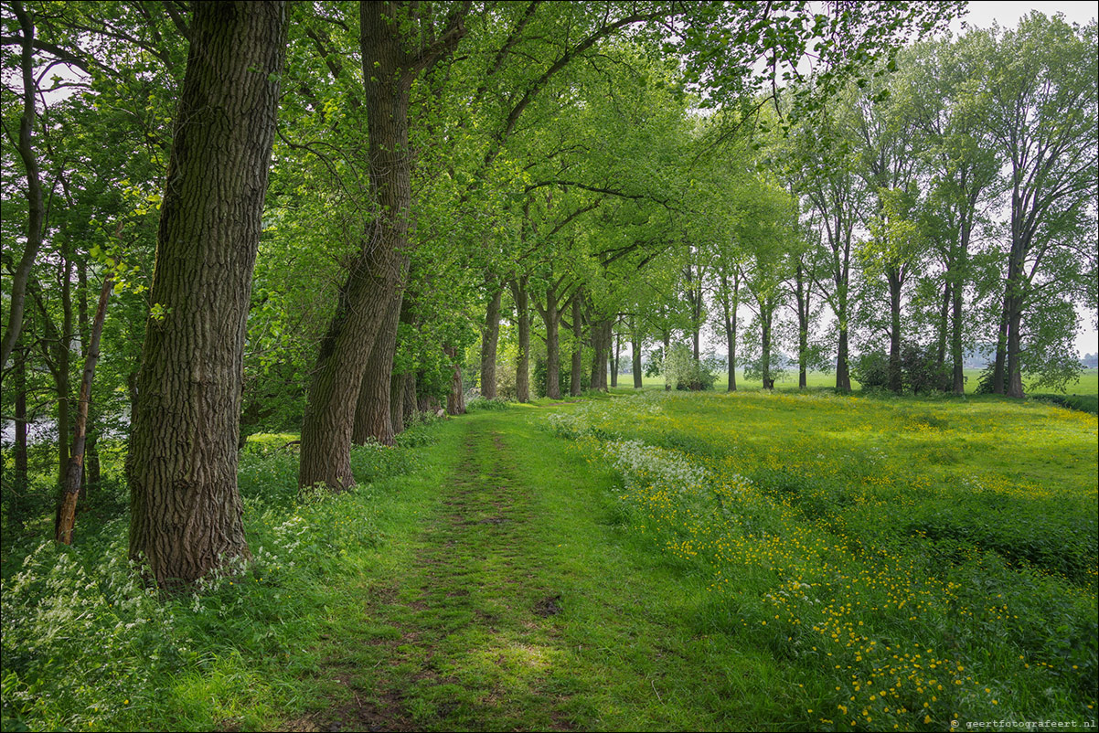 Waterliniepad / Stelling van Amsterdam: Weesp - Abcoude