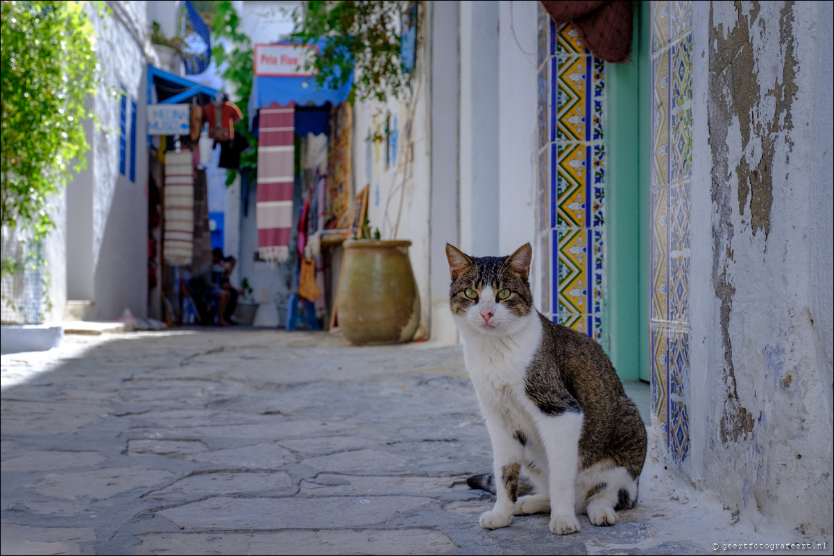 Tunesie Hammamet