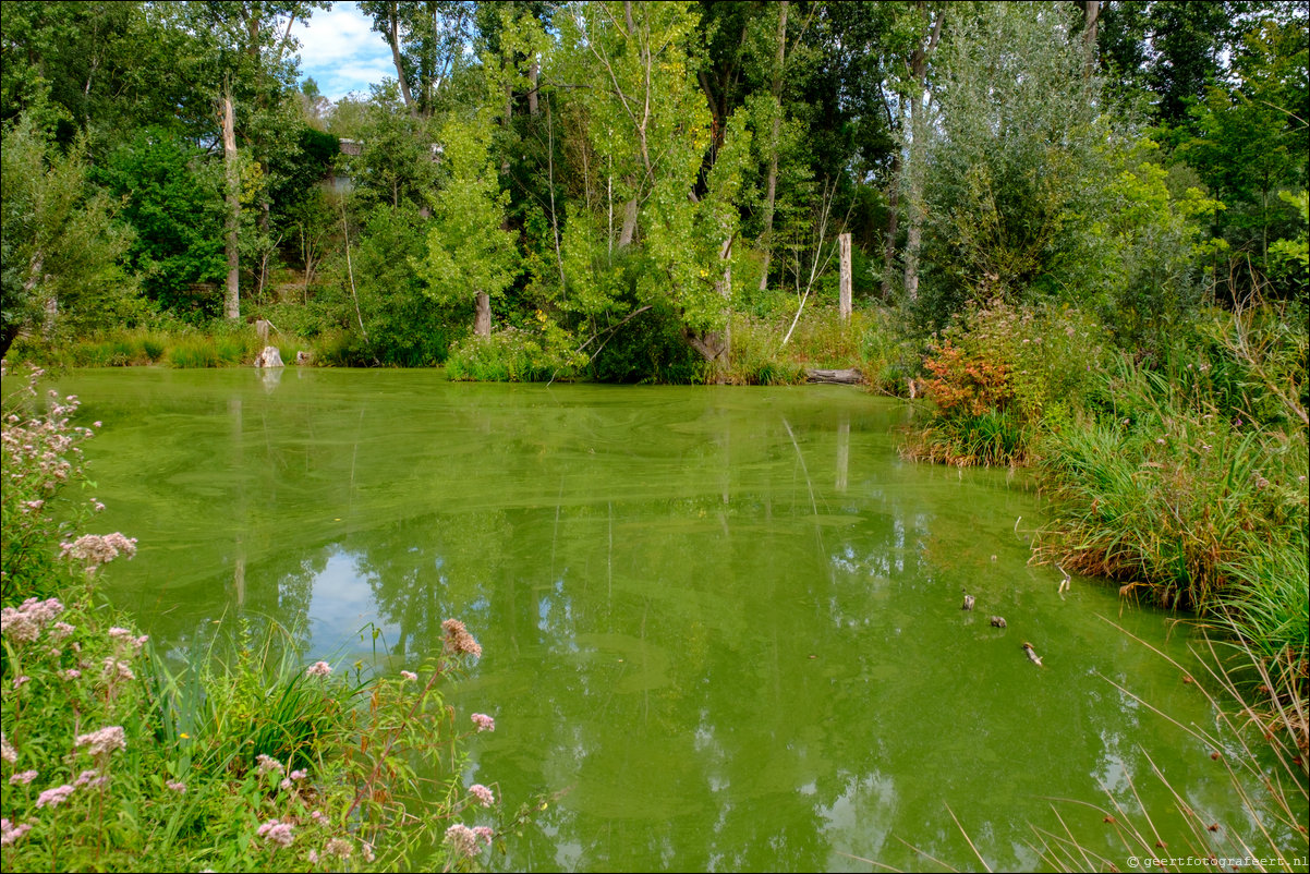 Museum Insel Hombroich