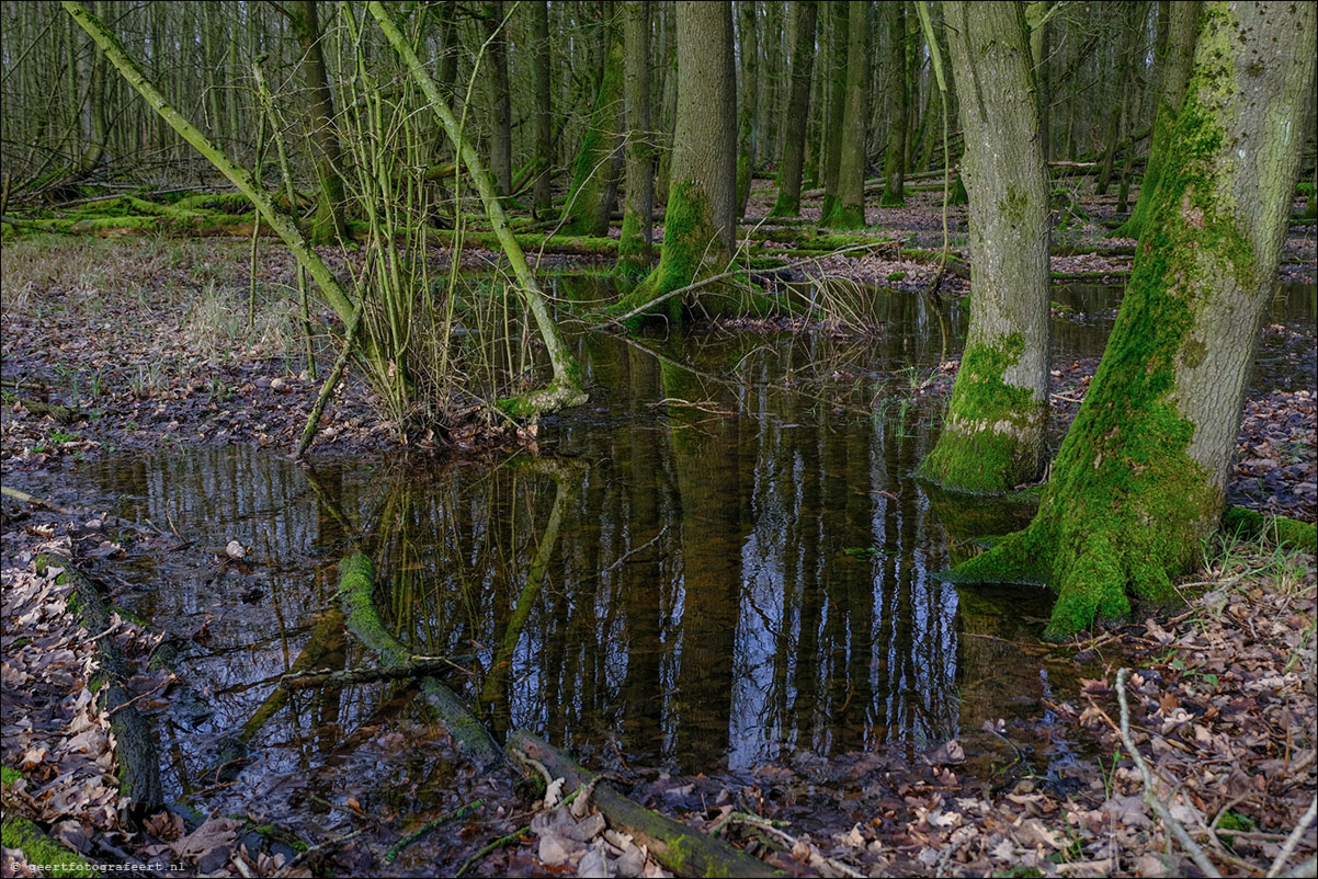 Pionierspad: Eemhof - Zeewolde 