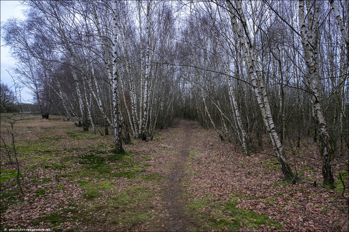 Pionierspad: Eemhof - Zeewolde 