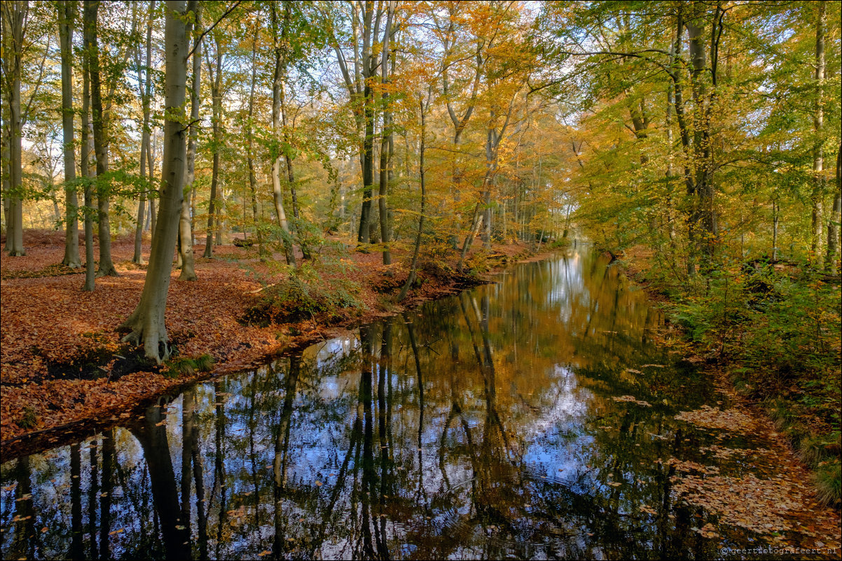 herfstwandeling Gooise Lusthoven